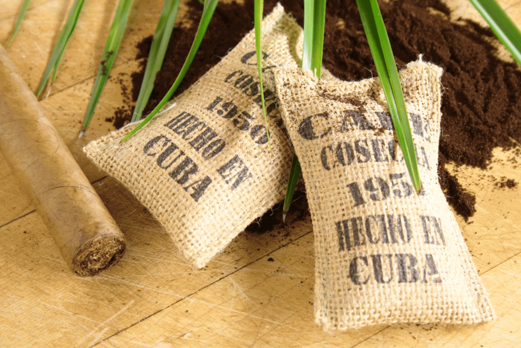 Cuban coffee beans waiting to be broken up into individual rations or exported