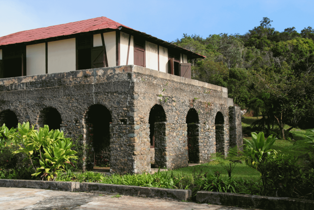 A cuban coffee plantation, like the ones that were declared world heritage sites