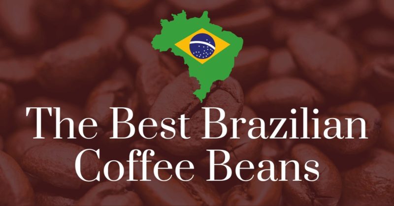 The best Brazilian coffee beans
