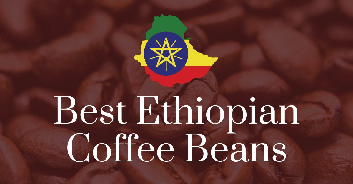 Best Ethiopian coffee beans