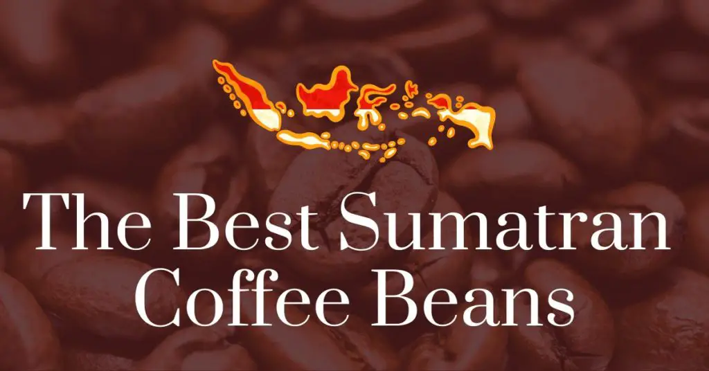 The best Sumatran coffee beans