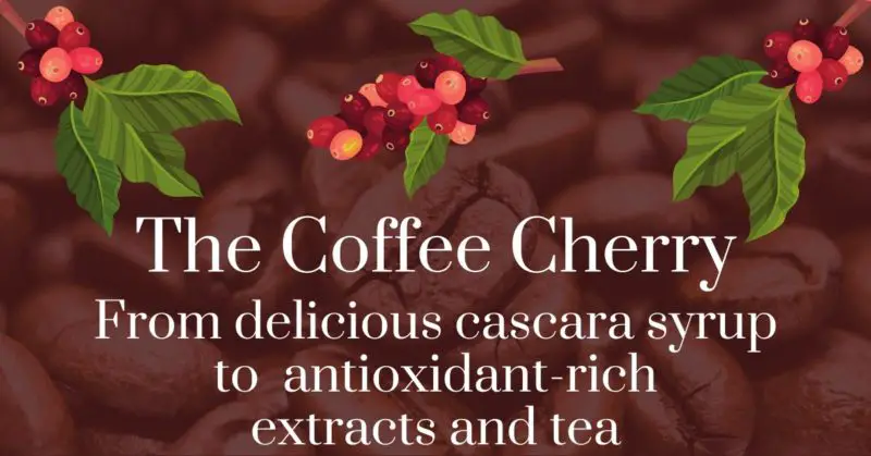 The coffee cherry: From delicious cascara syrup to antioxidant-rich extracts and tea