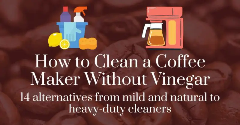 How to clean a coffee maker without vinegar: 14 alternatives from mild and natural to heavy-duty cleaners