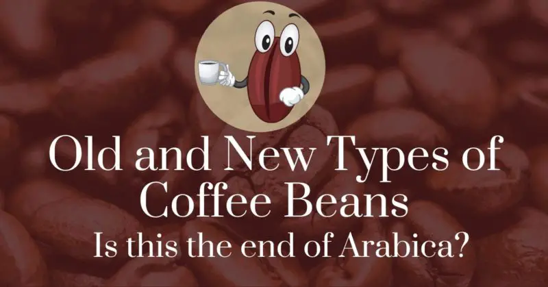 Old and new types of coffee beans: Is this the end of Arabica?