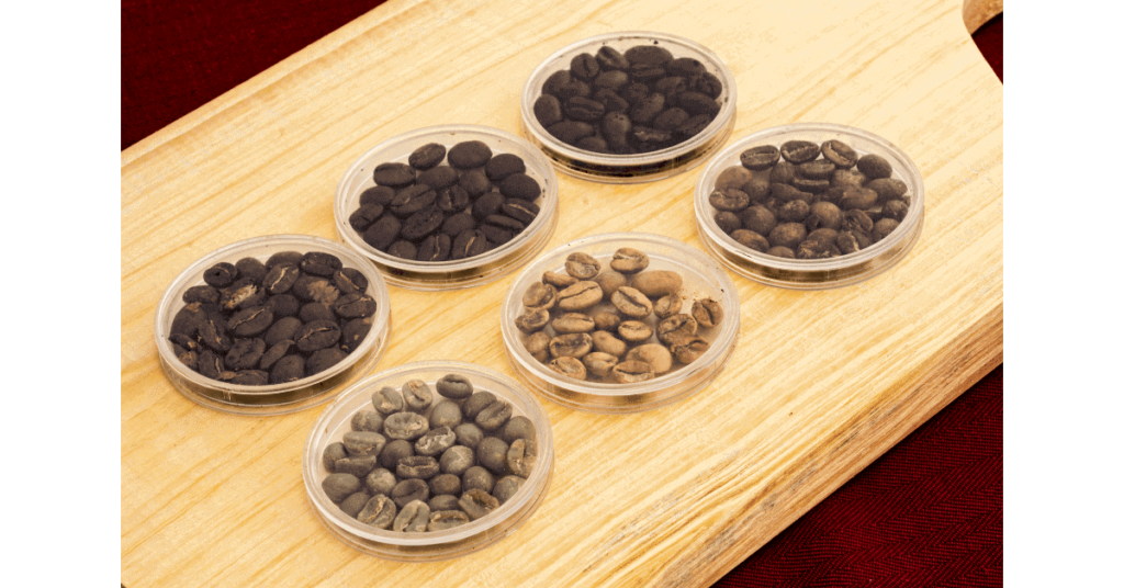 The coffee roasting stages, showing green coffee beans, light roasts and dark roasts