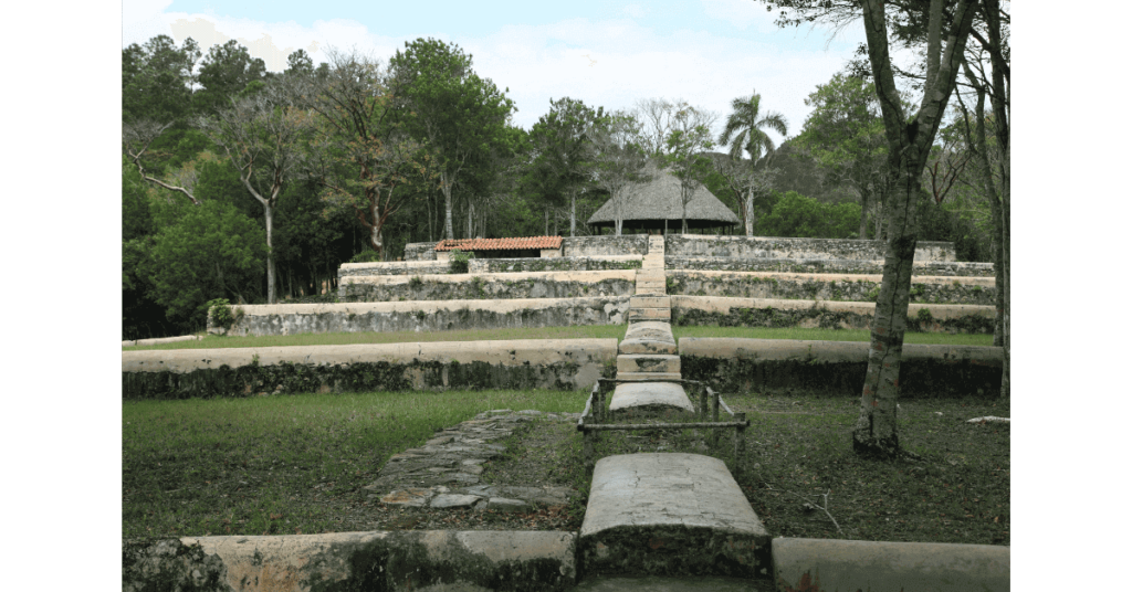 Coffee drying in a Cuban field