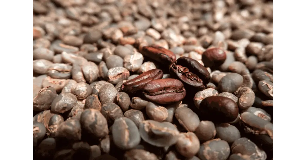 A close-up of Sumatran coffee beans from the Gayo region