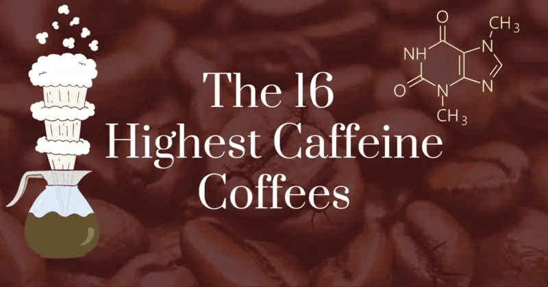 The 16 highest caffeine coffees
