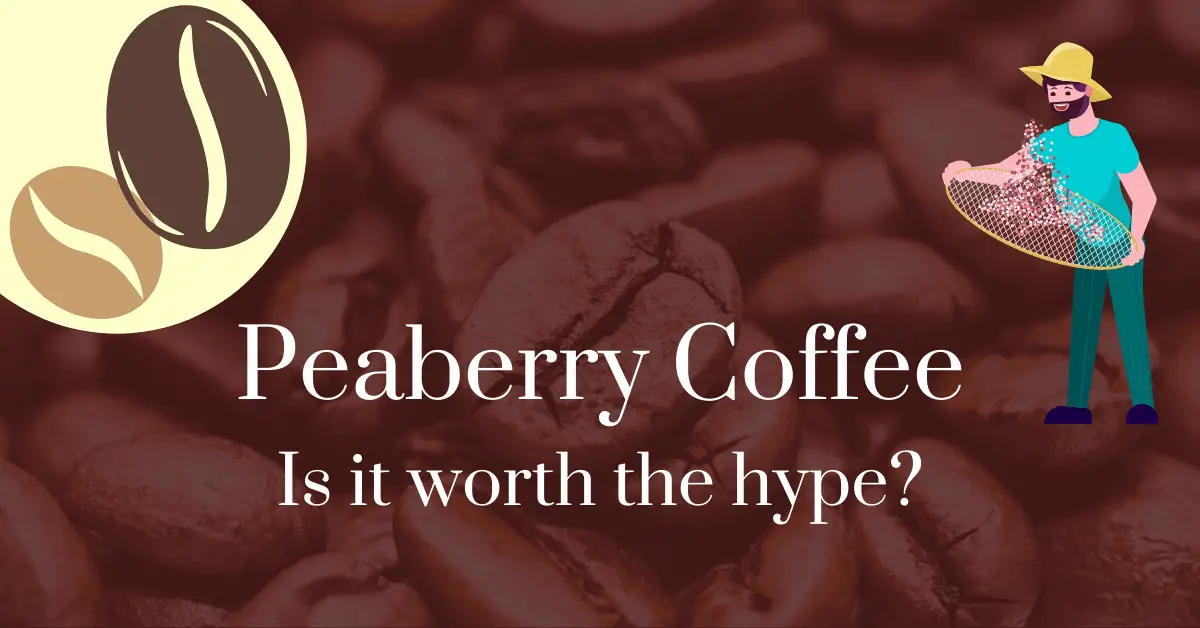 Peaberry coffee: is it worth the hype