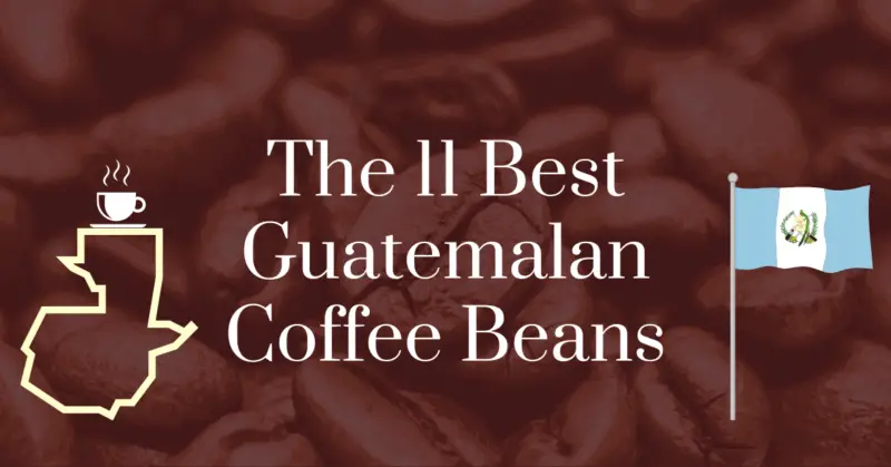 The 11 best Guatemalan coffee beans