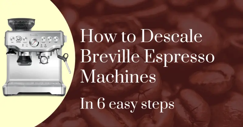 How to descale Breville espresso machines in 6 easy steps