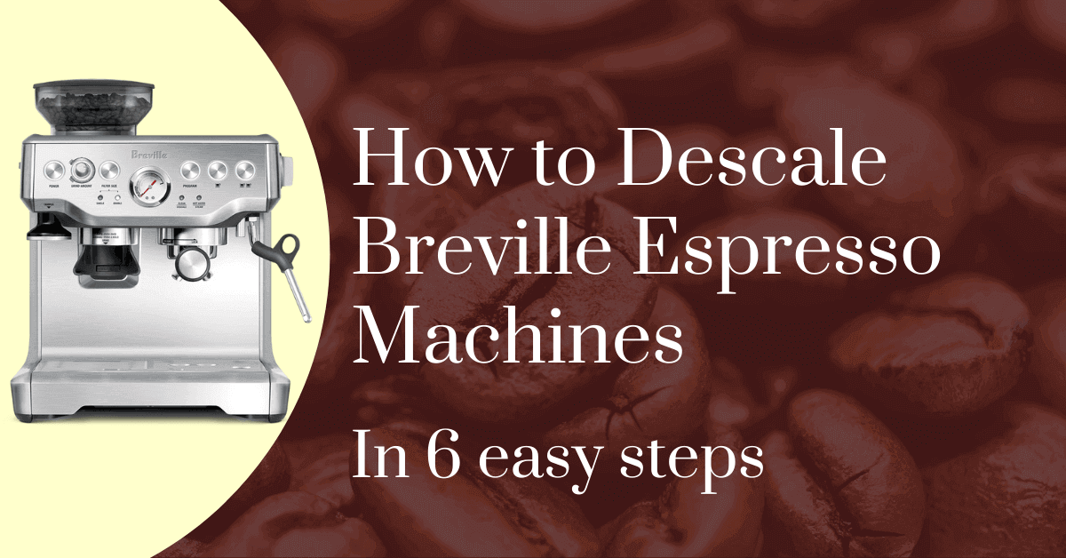 How to Descale Breville Espresso Machines (6 Easy Steps)