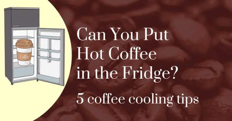 Can you put hot coffee in the fridge? 5 coffee cooling tips