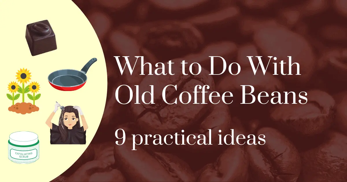 What to do with old coffee beans: 9 practical ideas
